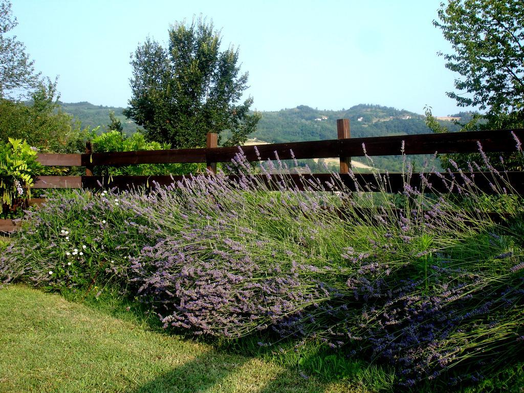 Cascina Ciosse B&B Grognardo Camera foto