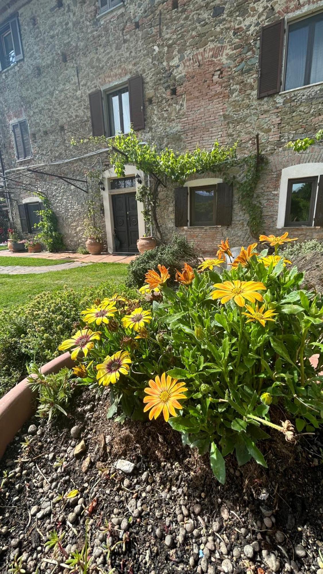 Cascina Ciosse B&B Grognardo Esterno foto