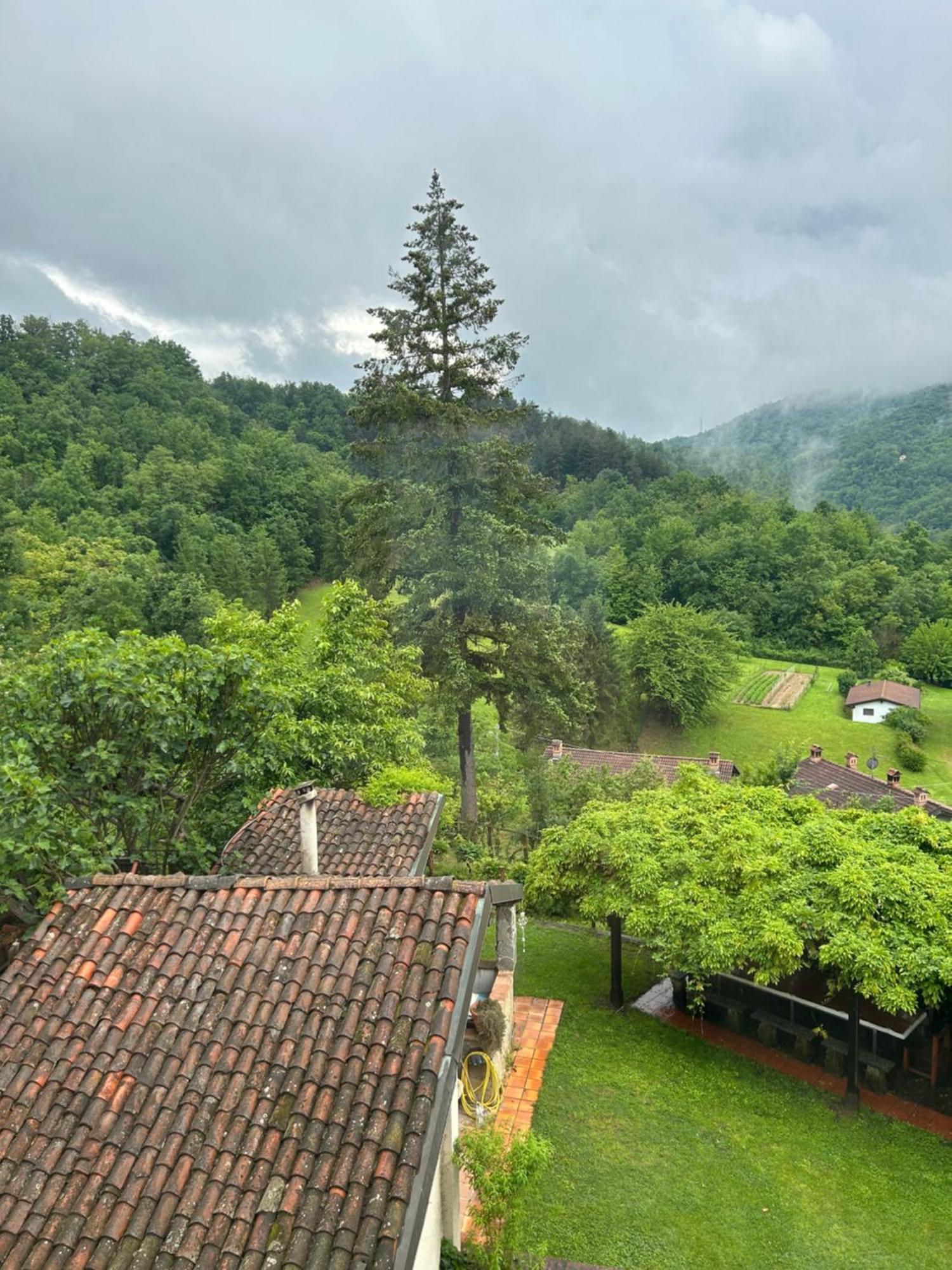 Cascina Ciosse B&B Grognardo Esterno foto
