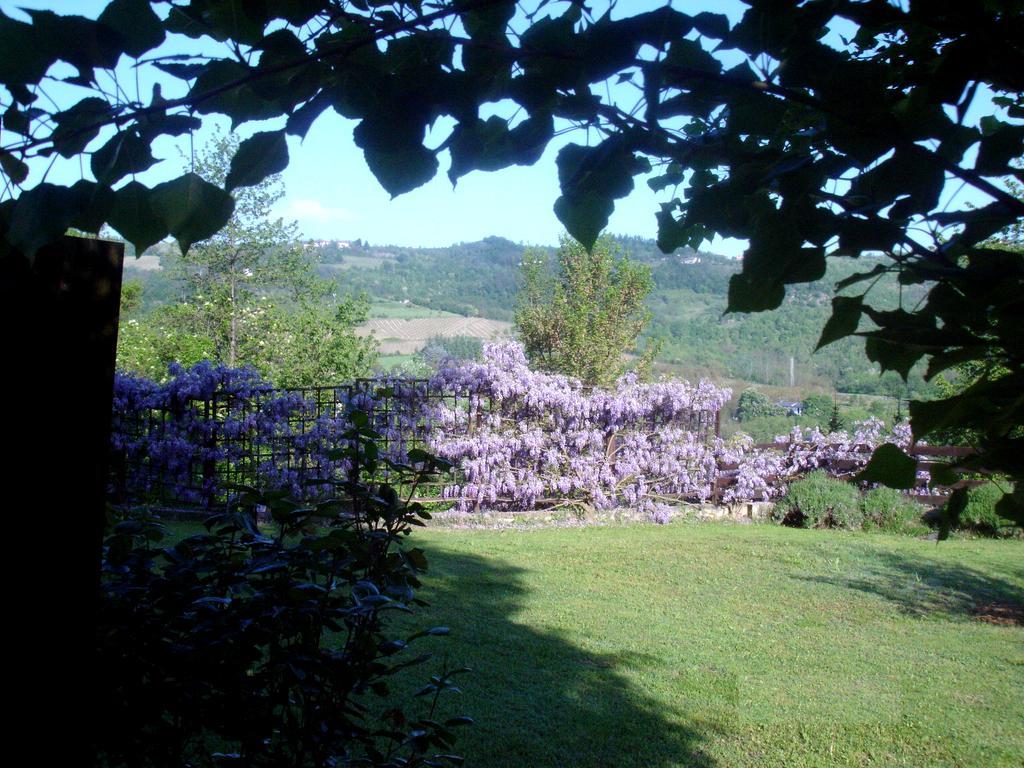 Cascina Ciosse B&B Grognardo Esterno foto